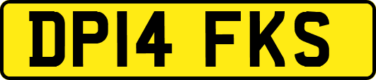 DP14FKS