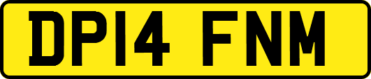 DP14FNM