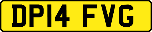 DP14FVG