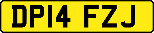 DP14FZJ