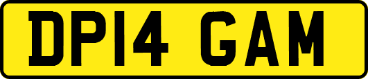 DP14GAM