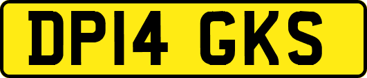 DP14GKS