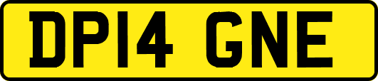 DP14GNE