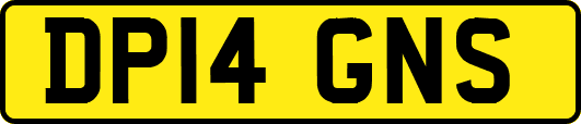 DP14GNS