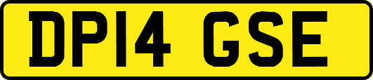 DP14GSE