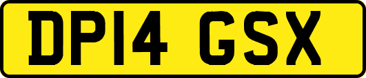 DP14GSX