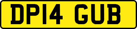 DP14GUB