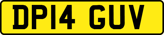 DP14GUV