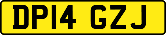 DP14GZJ