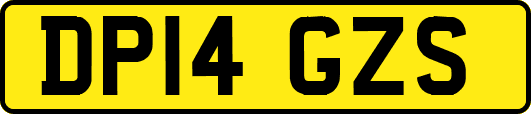 DP14GZS