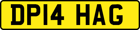 DP14HAG
