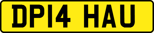 DP14HAU