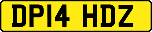 DP14HDZ