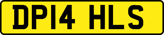 DP14HLS