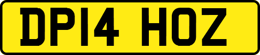 DP14HOZ