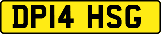 DP14HSG