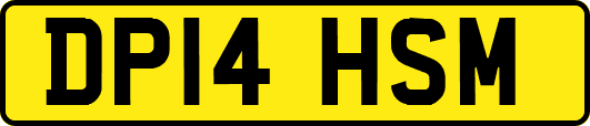 DP14HSM