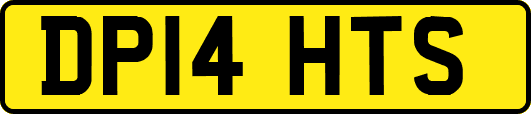 DP14HTS