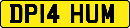 DP14HUM