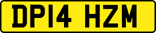 DP14HZM