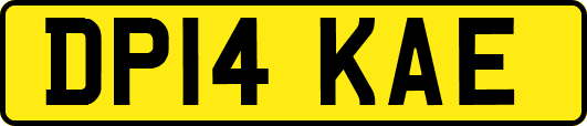 DP14KAE
