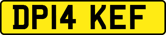 DP14KEF