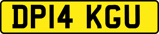 DP14KGU