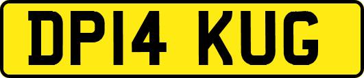 DP14KUG