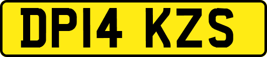 DP14KZS