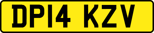 DP14KZV