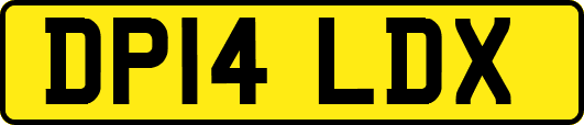 DP14LDX