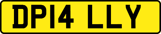 DP14LLY