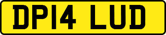 DP14LUD