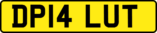 DP14LUT
