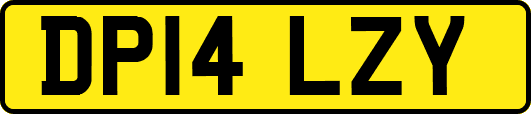 DP14LZY
