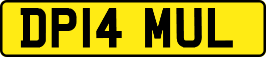 DP14MUL