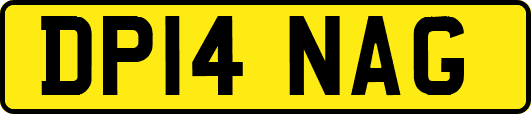 DP14NAG