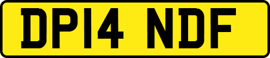 DP14NDF