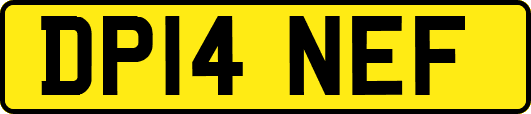DP14NEF