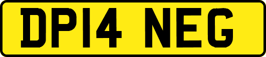DP14NEG