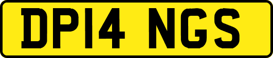 DP14NGS