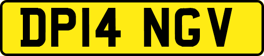 DP14NGV
