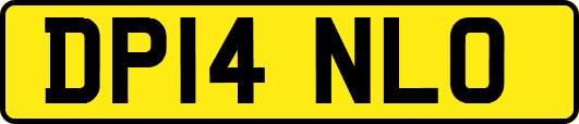 DP14NLO