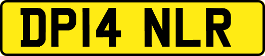 DP14NLR
