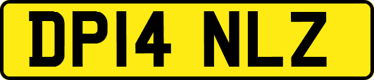 DP14NLZ