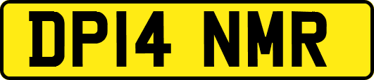 DP14NMR