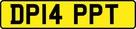DP14PPT
