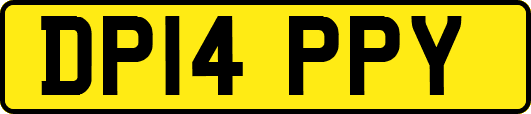 DP14PPY