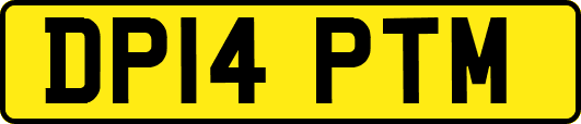 DP14PTM