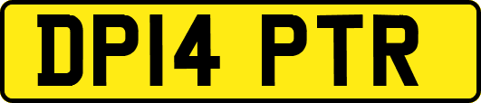DP14PTR